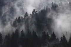 murkiness