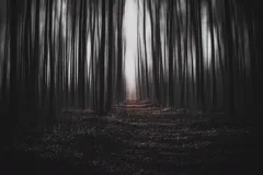 mysterious