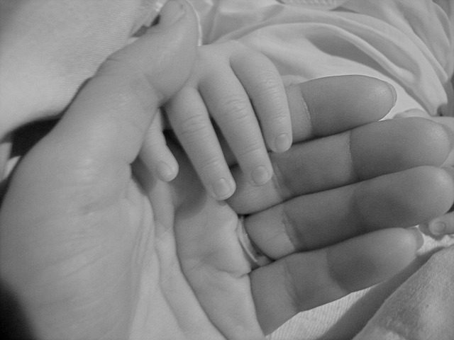 nephew