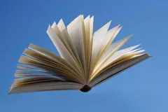 novel