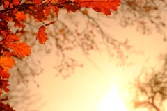 October