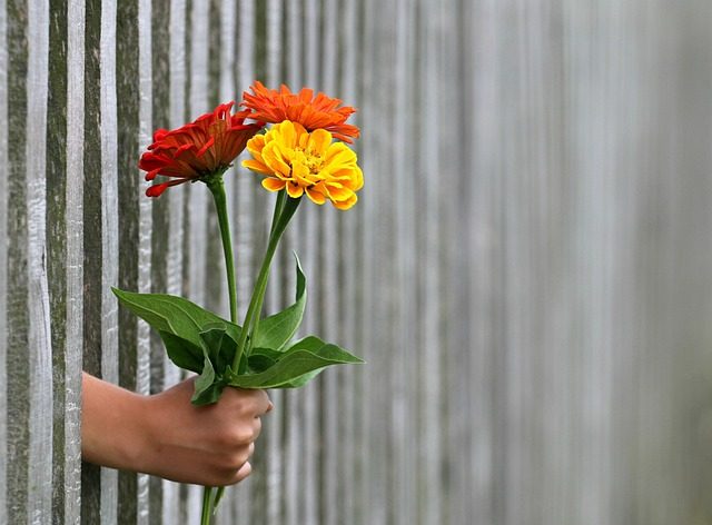 offering