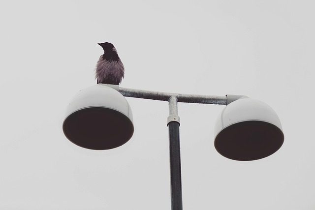 omen