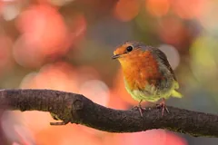 on
