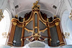 organ