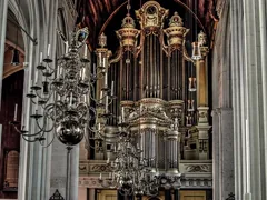 organ