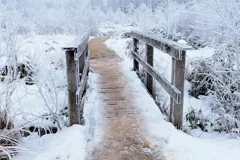 High School Fast Vocab Day 5 The Path at Daybreak 동틀녘의 길 (발라드)