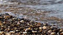 pebble