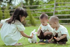 picnic