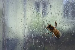 precarious