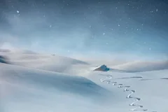 pristine