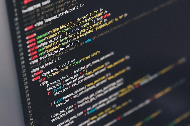programmer