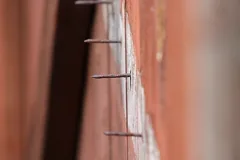 protrude