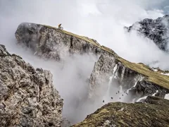 reckless