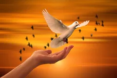 release