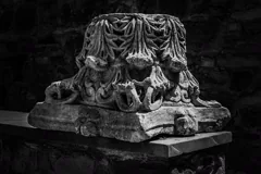 remains