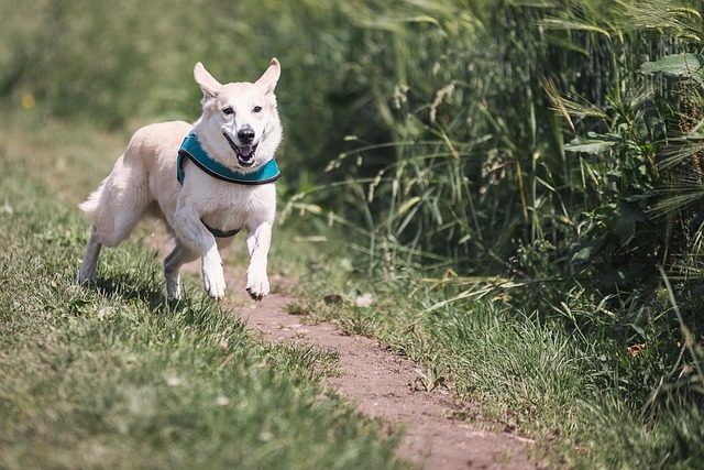 run