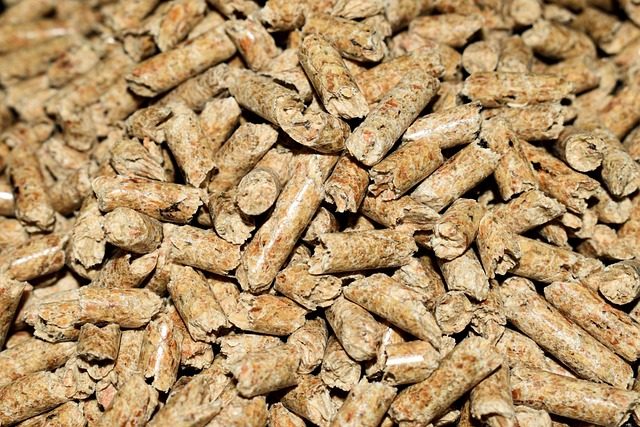 sawdust