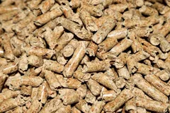 sawdust