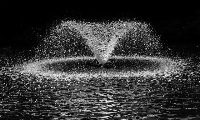 scatter