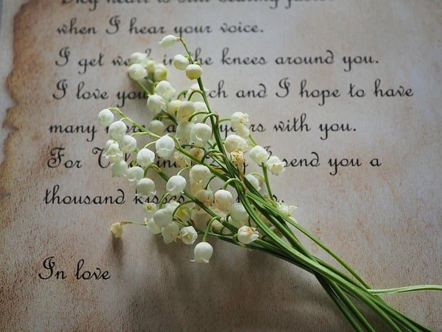 sentiment