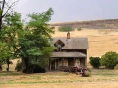 settler