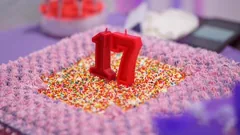 seventeen