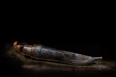 sheath