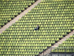 spectator