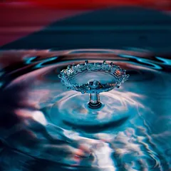 splash