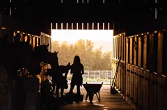 stable