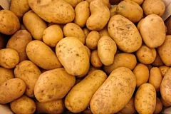 starch