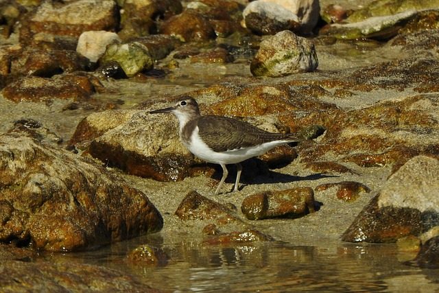 stint
