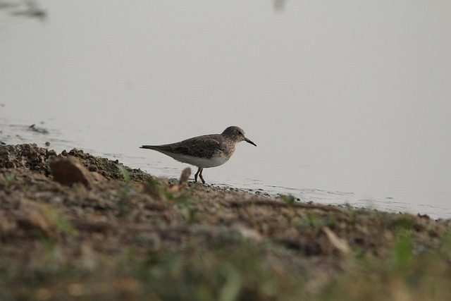 stint