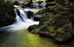 stream