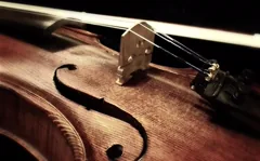 string