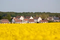 suburb