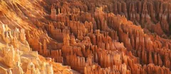 terrain