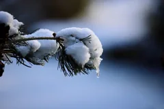 thaw
