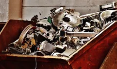 thrash