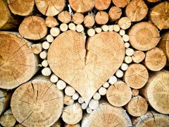 timber