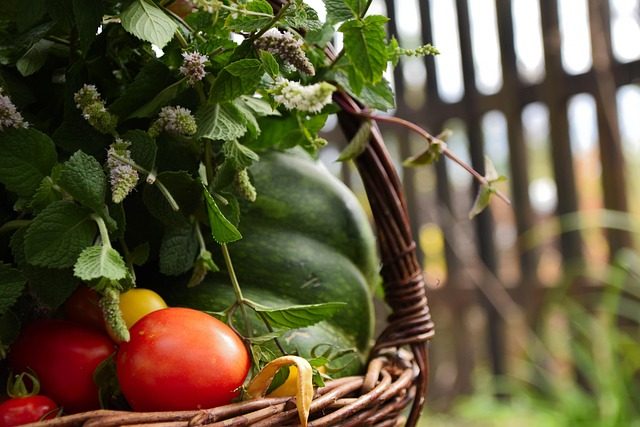 tomato