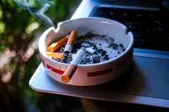 tray