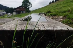 trough
