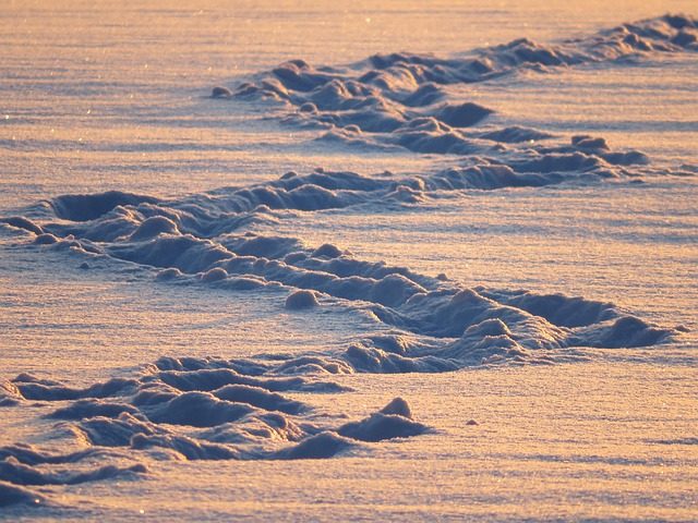 trudge