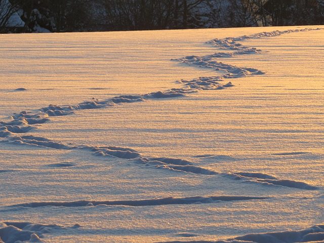 trudge