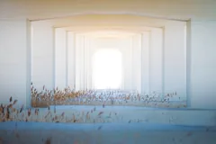 tunnel