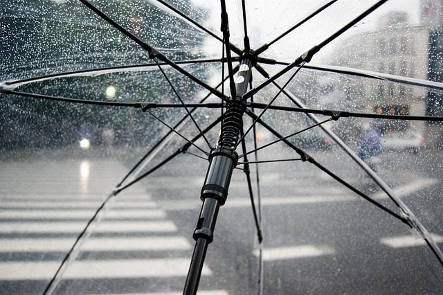 umbrella