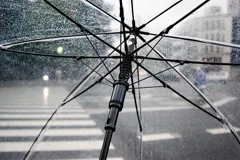 umbrella