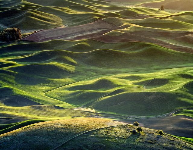 undulating